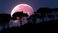 Утре ще изгрее Розова Луна
