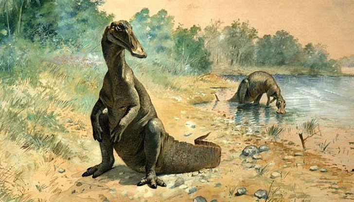Учени от университета на Хокайдо заключили, че скелетът е на представител на неизвестен досега вид хадрозаври
