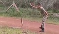 Войник хипнотизира кралска кобра