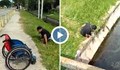Мъж с увреждане слезе от инвалидната си количка, за да спаси коте