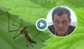 Борбата с комарите в Русе започва още от Февруари