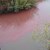 Коя фирма замърсява водите на река Русенски Лом?