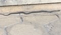 Змия се разхожда в центъра на Русе