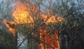 Пожар в „Касева чешма“ вдигна пожарната на крак