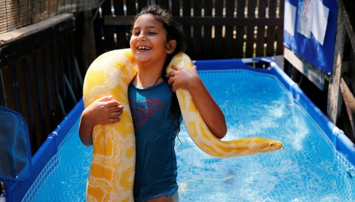 11-футовата жълта змия, на име Бел, е едно от многото домашни любимци на семейството
