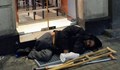 Анна Заркова: Никой не снима бездомниците у нас