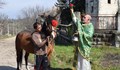 В Ново село възстановиха ритуала „Захранване на конете“