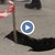 Опасна дупка се отвори на велоалея и тротоар в Русе