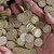 Откраднаха монетниците на два кафеавтомата в Русе