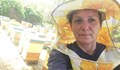 Елена Костова: Много има да учат българските политици от пчелите