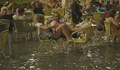Високи води във Венеция - рядък феномен за август