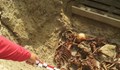 Изследователи се натъкнаха на масов гроб в солницата край Провадия