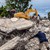Броят на жертвите от земетресението в Хаити наближава 2000