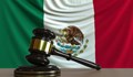 Двама офицери в Мексико получиха по 30 години затвор за фемицид