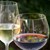 Каква е разликата между бялото и червеното вино?
