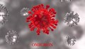 Американски учени: Вариантът Омикрон е заразен поне шест дни