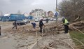 Буря в София: Голям клон падна и нарани тежко мъж