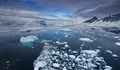 Площта на антарктическия морски лед достигна най-ниското си ниво