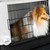 Задържаха кучета и котки на ГКПП Русе при опит да бъдат изведени от страната