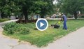Започна косенето и пръскането на тревните площи в Русе