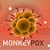 СЗО: Маймунската шарка представлява умерен риск за глобалното обществено здраве