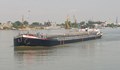 Съдят „Рубишипс“ за унищожен слънчоглед в кораб по река Дунав