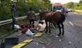 "Фолксваген Голф" се удари в каруца на пътя Борисово - Юделник