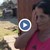 Охранители пребиха роми заради открадната царевица
