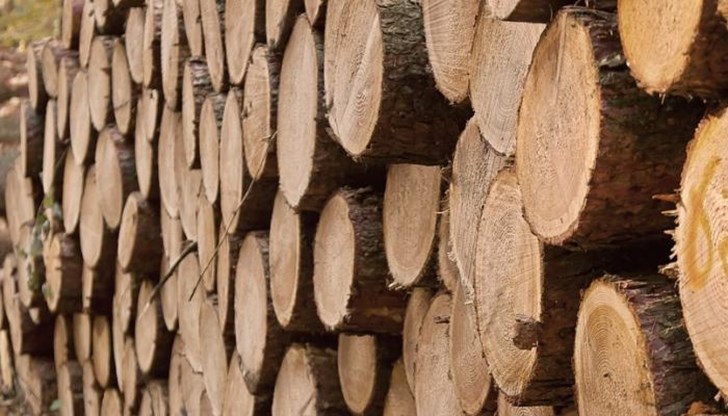 Кубик дърва в Румъния ще струва 158 лева