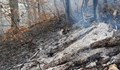 Потушиха пожара до българо-гръцката граница