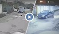 Мъж опита да прегази две бездомни кучета в Русе