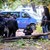Осъдиха Столична община да плати 100 000 лева за убит от дърво мъж