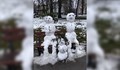 Срещнахте ли днес това русенско снежно семейство?