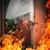 Тежко пострадаха при пожар двама мъже в Пловдивско