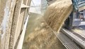 ЕК ще компенсира с още 16 милиона евро българските зърнопроизводители