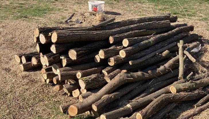 Дървеният материал е стопанисван от мъже на 52 и 43 години