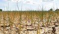 Вече втора година сушата изпепелява посевите в Южна Европа