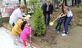 Възпитаниците на Детска ясла № 1 засадиха дръвче в двора на институцията