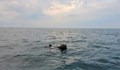 Румънската Брегова охрана е открила плаваща мина в Черно море