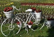 Декоративно колело "цъфна" в градската градина