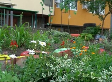 Русенците, превърнали блока си в райско кътче
