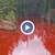 "Кървавото езеро" край Елшица не е феномен, а опасен замърсител