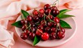 Плодовете може да се окажат лукс за гърците това лято