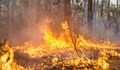 Над 80 нови пожара пламнаха в Гърция