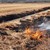 Огнеборци гасиха горящи сухи треви в четири русенски села