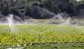 Земеделските стопани могат да кандидатстват за помощ за напояване от 21 август