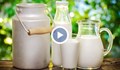 Асоциацията на потребителите иска проверка на цените на млякото