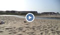 Багер разкопа плажа в Обзор, мръсна вода се изля в морето