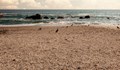 Незаконни заведения сами си махат масите от плажове в Гърция