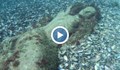 Водолази откриха русалка в Черно море край Приморско